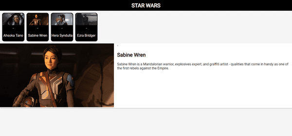 SW-Project-Screenshot